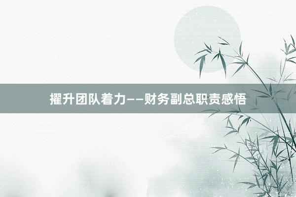 擢升团队着力——财务副总职责感悟